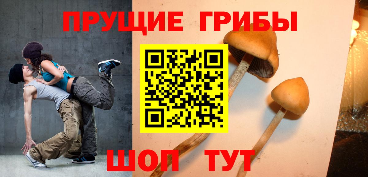 Псилоцибиновые грибы Cubensis Трёхгорный