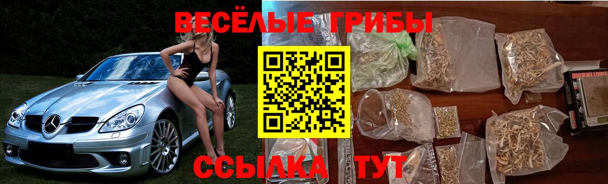 Галлюциногенные грибы GOLDEN TEACHER  Галлюциногенные грибы ЛСД  Трёхгорный  Вход с VPN 